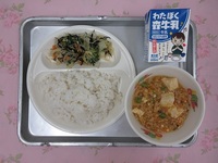 5月9日(金)