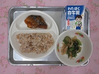 5月30日(金)